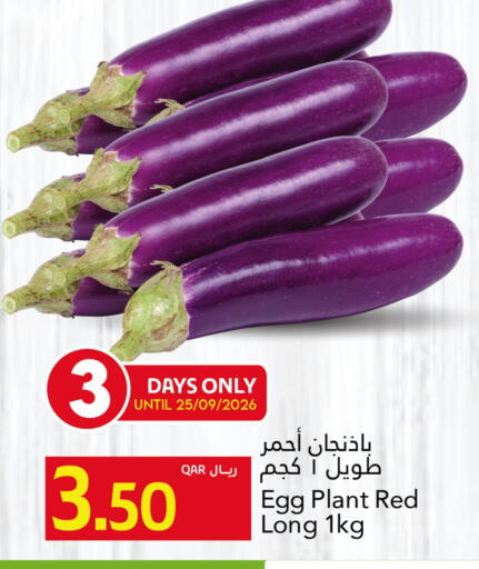 available at جلف فود سنتر in قطر - الريان