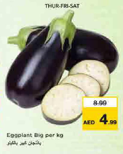 Eggplant available at لاست تشانس in الإمارات العربية المتحدة , الامارات - ٱلْفُجَيْرَة‎