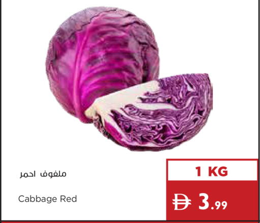 Cabbage available at Istanbul Supermarket in UAE - Ras al Khaimah