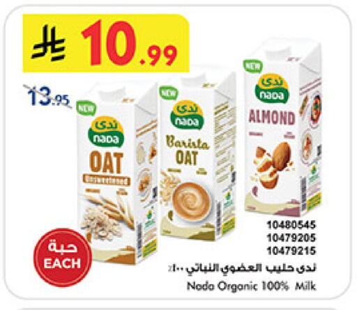 available at بن داود in مملكة العربية السعودية, السعودية, سعودية - المدينة المنورة
