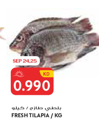 available at جراند كوستو in الكويت - مدينة الكويت