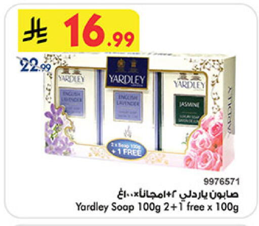 available at بن داود in مملكة العربية السعودية, السعودية, سعودية - المدينة المنورة