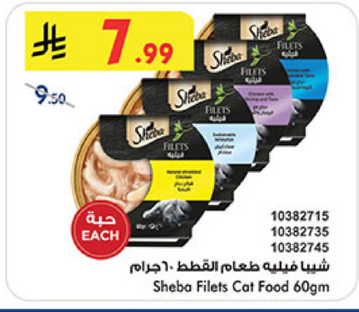 available at بن داود in مملكة العربية السعودية, السعودية, سعودية - المدينة المنورة