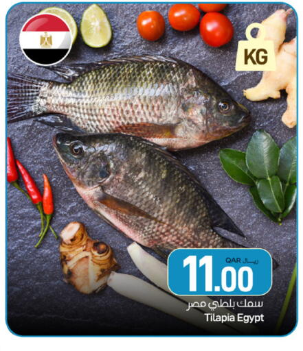 available at ســبــار in قطر - الريان