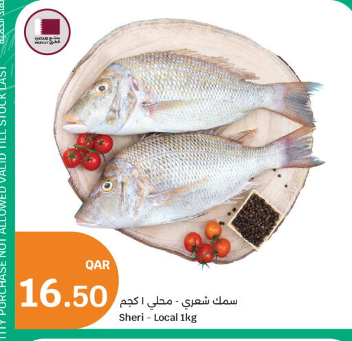 available at سيتي هايبرماركت in قطر - الخور
