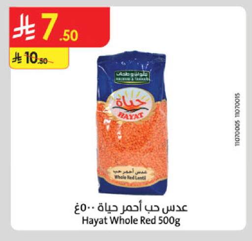 available at الدانوب in مملكة العربية السعودية, السعودية, سعودية - المدينة المنورة