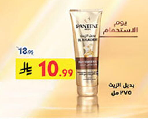 available at بن داود in مملكة العربية السعودية, السعودية, سعودية - المدينة المنورة