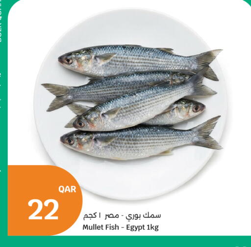 available at City Hypermarket in Qatar - Al Khor