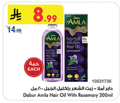 Rosemary available at بن داود in مملكة العربية السعودية, السعودية, سعودية - المدينة المنورة