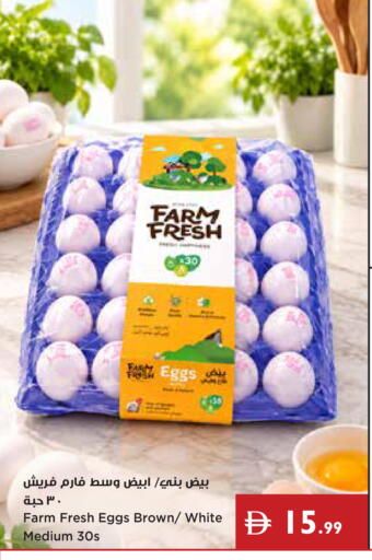 available at Istanbul Supermarket in UAE - Dubai