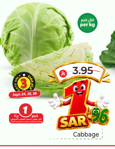 Cabbage available at مكة هايبرماركت in مملكة العربية السعودية, السعودية, سعودية - جدة