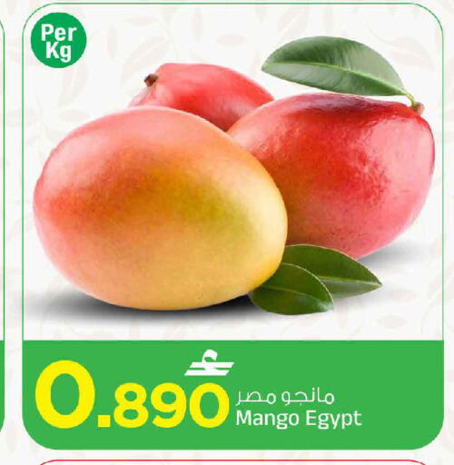 Mango from Egypt available at MARK & SAVE in Oman - Muscat