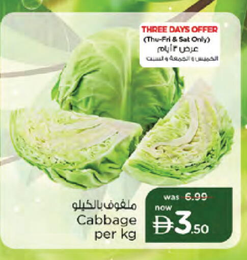 Cabbage available at نستو هايبرماركت in الإمارات العربية المتحدة , الامارات - دبي