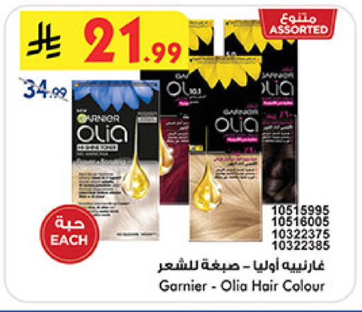 available at بن داود in مملكة العربية السعودية, السعودية, سعودية - المدينة المنورة