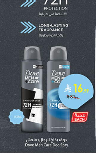 available at بن داود in مملكة العربية السعودية, السعودية, سعودية - المدينة المنورة