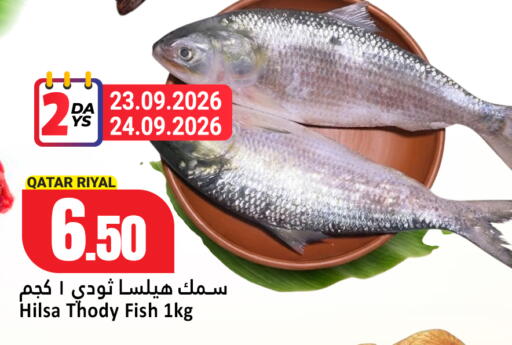 available at دانة هايبرماركت in قطر - الشمال