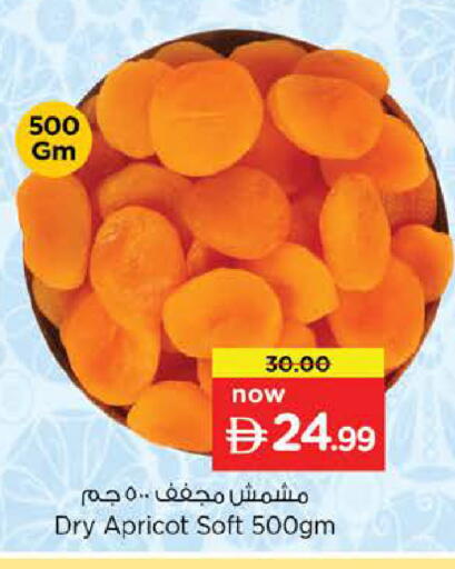 Apricot available at نستو هايبرماركت in الإمارات العربية المتحدة , الامارات - دبي