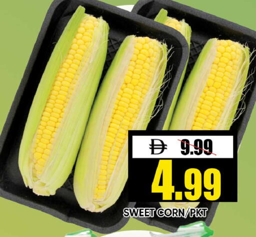 available at Leptis Hypermarket  in UAE - Ras al Khaimah