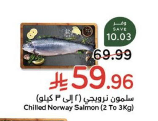 available at هايبر بنده in مملكة العربية السعودية, السعودية, سعودية - الرس