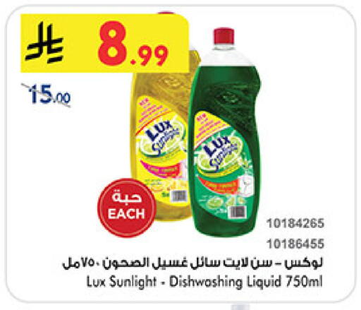 available at بن داود in مملكة العربية السعودية, السعودية, سعودية - المدينة المنورة