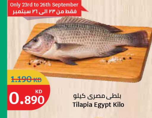 available at سيتي هايبرماركت in الكويت - مدينة الكويت