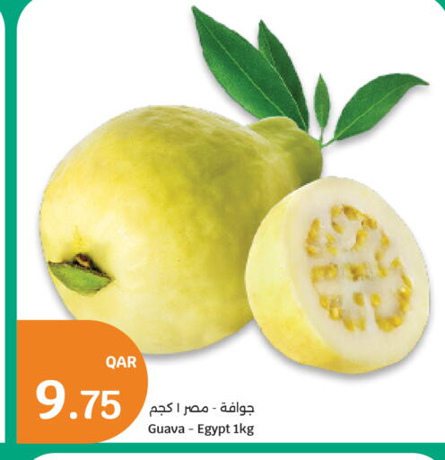 Guava from Egypt available at سيتي هايبرماركت in قطر - الخور