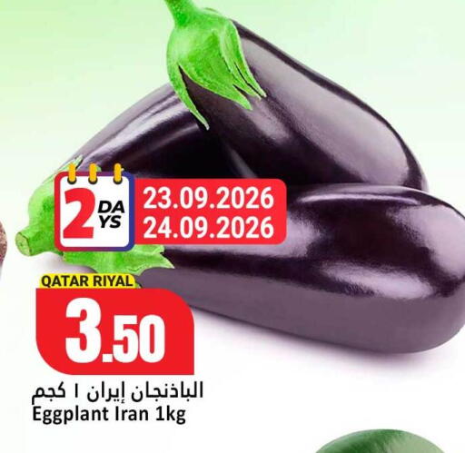 available at دانة هايبرماركت in قطر - الشمال
