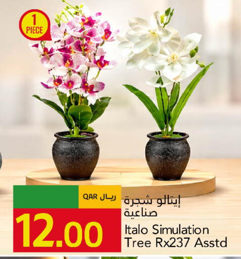 available at Gulf Food Center in Qatar - Umm Salal