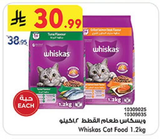 available at بن داود in مملكة العربية السعودية, السعودية, سعودية - المدينة المنورة