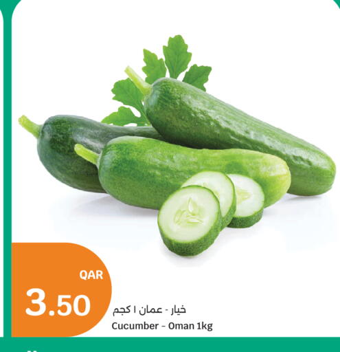 Cucumber from Oman available at سيتي هايبرماركت in قطر - الخور