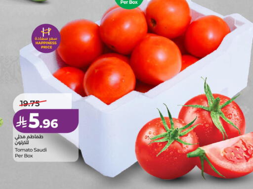 Tomato from Saudi Arabia available at LULU Hypermarket in KSA, Saudi Arabia, Saudi - Al Khobar