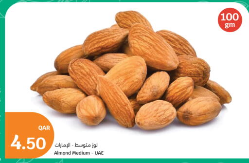 available at سيتي هايبرماركت in قطر - الخور