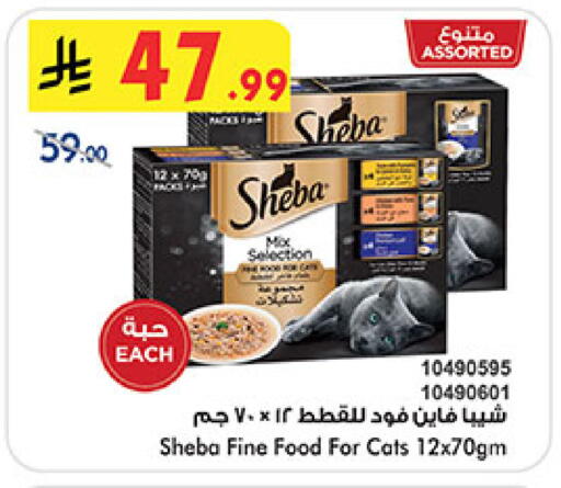 available at بن داود in مملكة العربية السعودية, السعودية, سعودية - المدينة المنورة