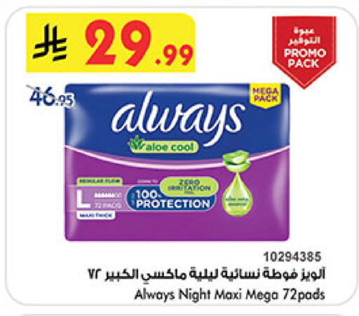 available at بن داود in مملكة العربية السعودية, السعودية, سعودية - المدينة المنورة