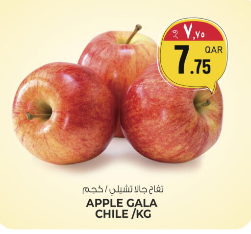 Apple from Chile available at السعودية in قطر - الشمال