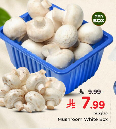 Mushroom available at نستو in مملكة العربية السعودية, السعودية, سعودية - الرس