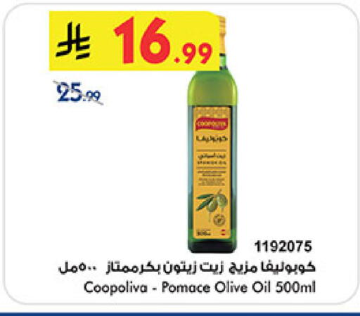 available at بن داود in مملكة العربية السعودية, السعودية, سعودية - المدينة المنورة