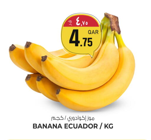 Banana from Ecuador available at السعودية in قطر - أم صلال