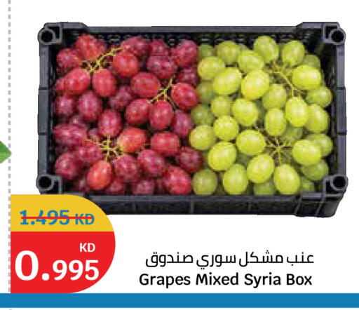 Grapes from Syria available at سيتي هايبرماركت in الكويت - مدينة الكويت