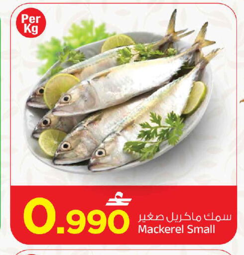 available at مارك & سايف in عُمان - مسقط‎