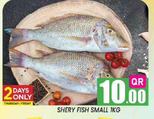 available at New Stop n Shop @Fereej Bin Omran in Qatar - Al Rayyan