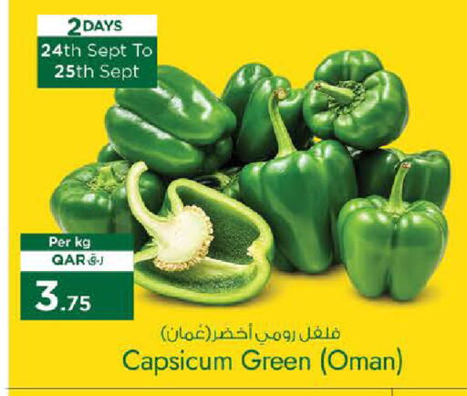 Capsicum from Oman available at نـسـتـو in قطر - أم صلال