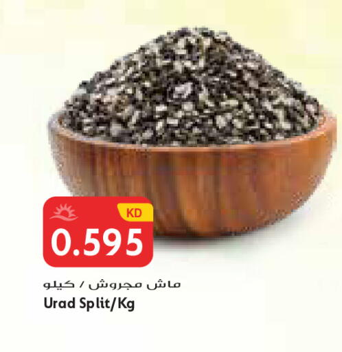 available at Grand Costo in Kuwait - Kuwait City