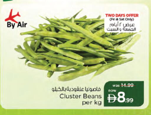 available at نستو هايبرماركت in الإمارات العربية المتحدة , الامارات - دبي