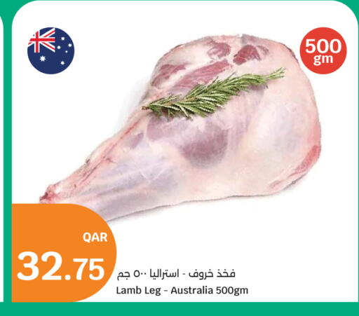 available at سيتي هايبرماركت in قطر - الخور