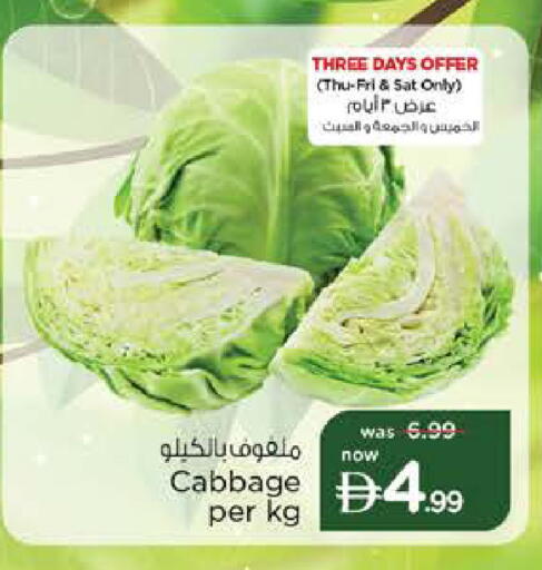 Cabbage available at نستو هايبرماركت in الإمارات العربية المتحدة , الامارات - دبي