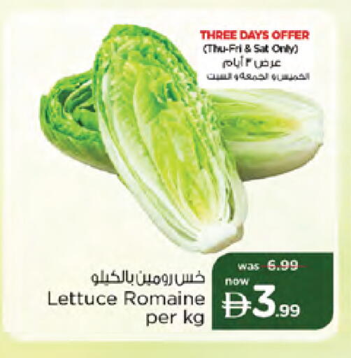 Lettuce available at نستو هايبرماركت in الإمارات العربية المتحدة , الامارات - دبي