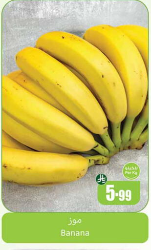 Banana available at أسواق عبد الله العثيم in مملكة العربية السعودية, السعودية, سعودية - الخرج