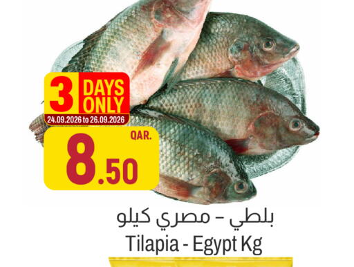 available at Aswaq Al Malaki Fresh in Qatar - Al Shamal