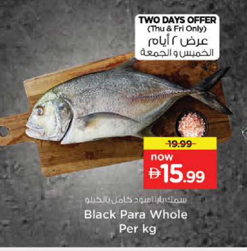 available at نستو هايبرماركت in الإمارات العربية المتحدة , الامارات - دبي